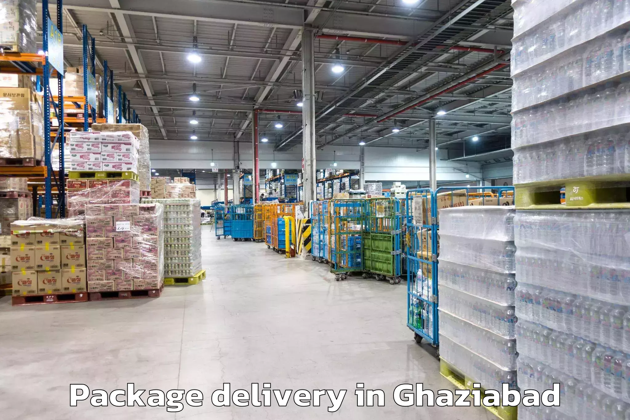 Package Delivery in Ghaziabad, Uttar Pradesh (UP)